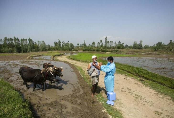 Virus Outbreak India Explainer
