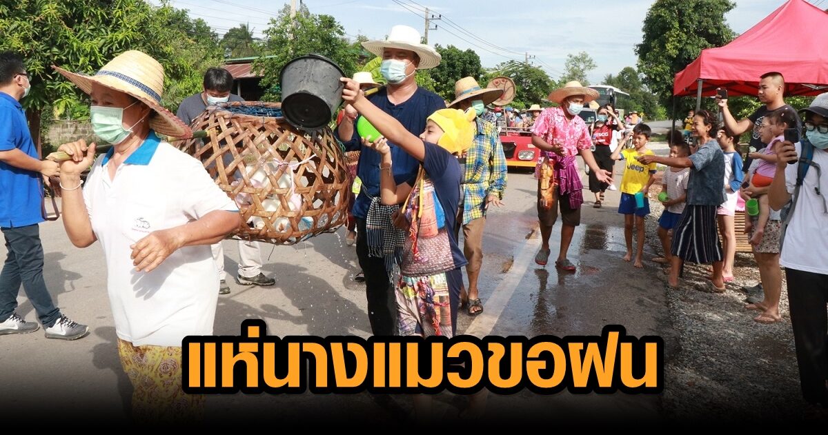 แล้งหนัก นายก อบต. นำชาวบ้าน แห่นางแมวตุ๊กตา ขอฝนรอบหมู่บ้าน  หลังรอน้ำนับเดือน