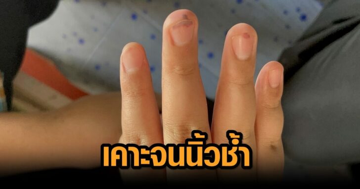 S__9748613