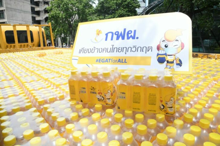 กฟผ.-2