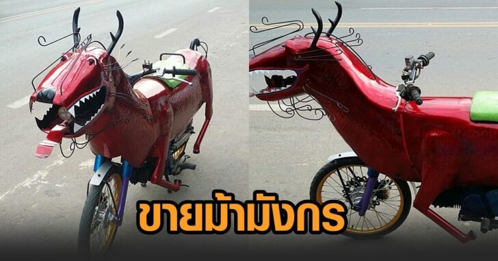 ขายม้ามังกร