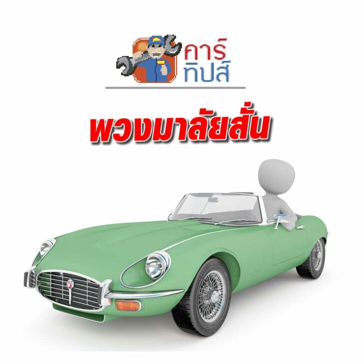 คาร์ทิป