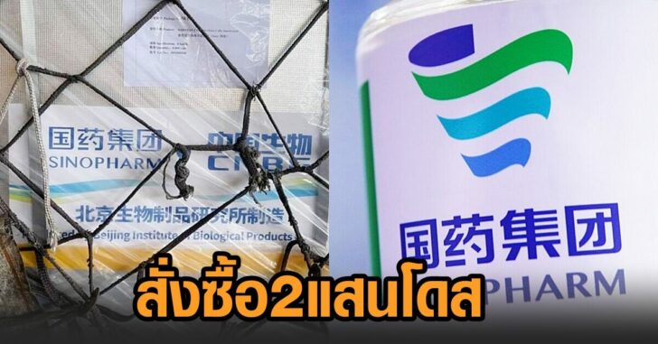 ชลบุรี2แสนโดส