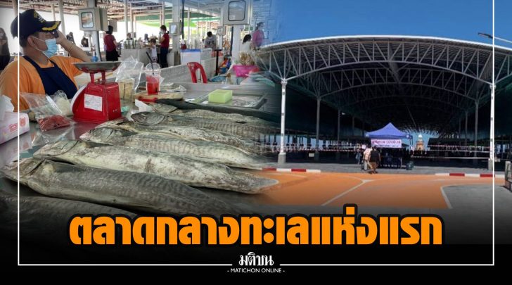ซซ029