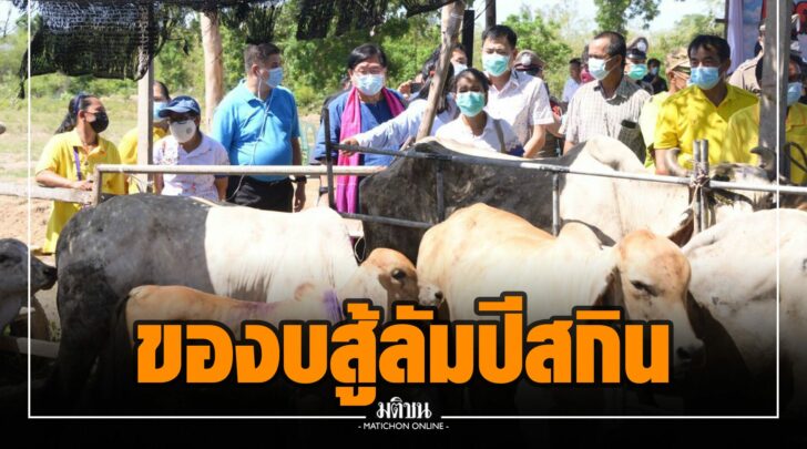 ฎฎ0003