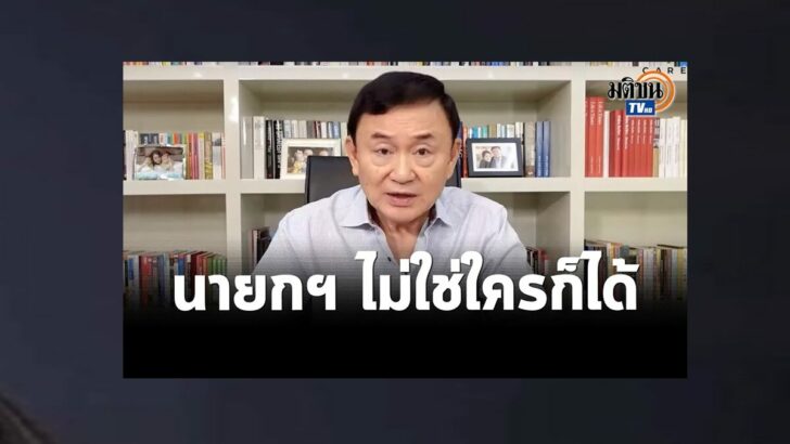 ปก81