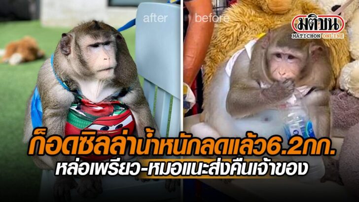 ปกคลิป-ก็อดซิลล่า