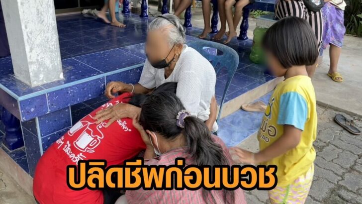 ปลิดชีพ
