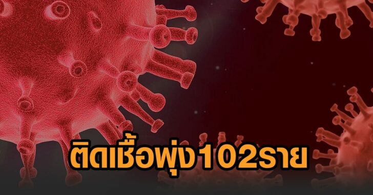 ปัตตานี102