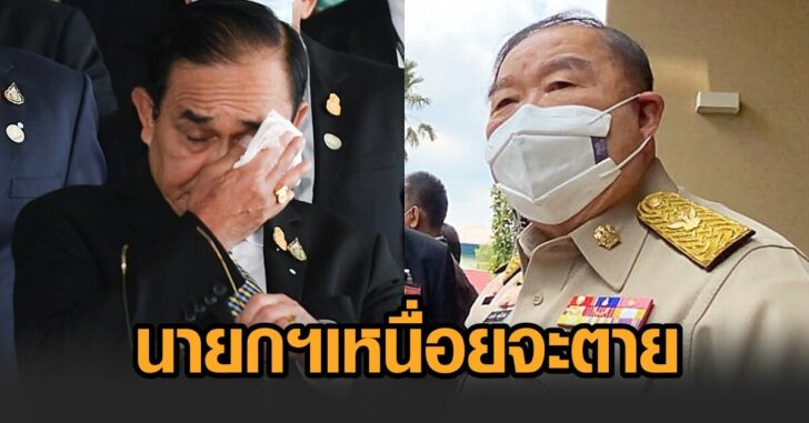 ป้อมตู่