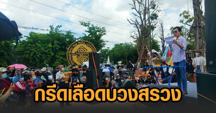ฟ้า24