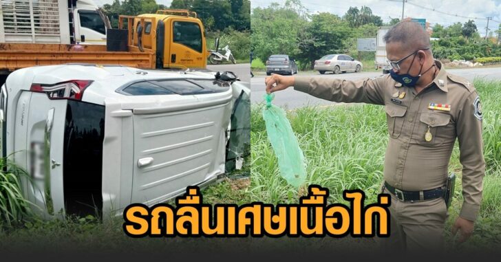 รถลื่นเศษเนื้อไก่