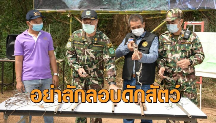 เขาใหญ่5