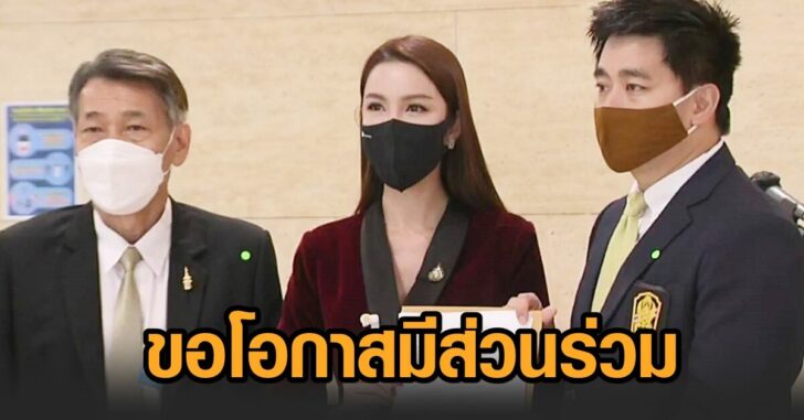 เครือข่ายแพทย์แผนไทย