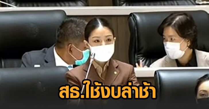 เดียร์