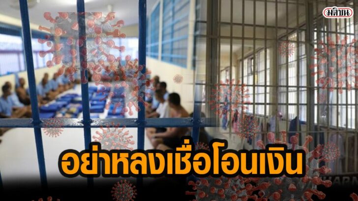 เพนกวิ48783