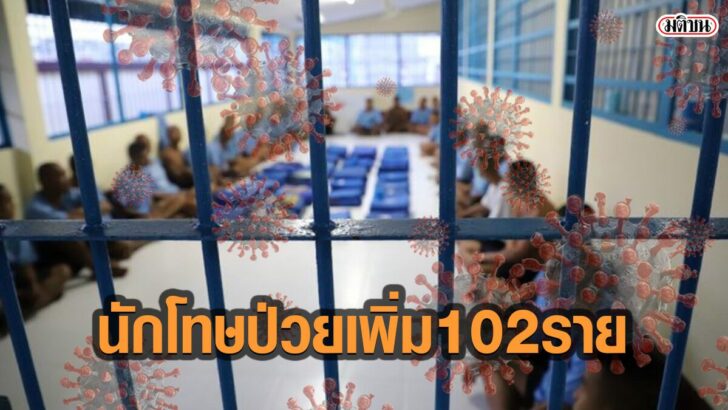 เพนกวิน455