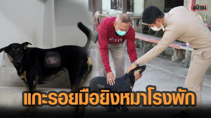 แบบกกกก-277