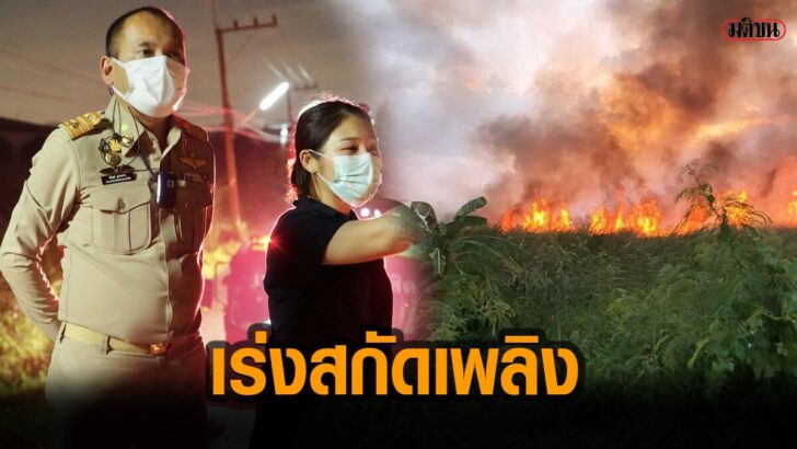 แบบกกกก56+55