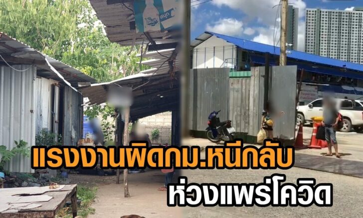 แรงงาน