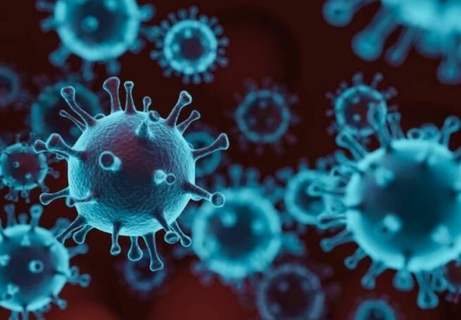 โควิด เชื้อโรค