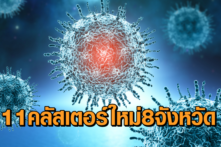 โควิดฟ้าคลัสเตอร์ใหม่