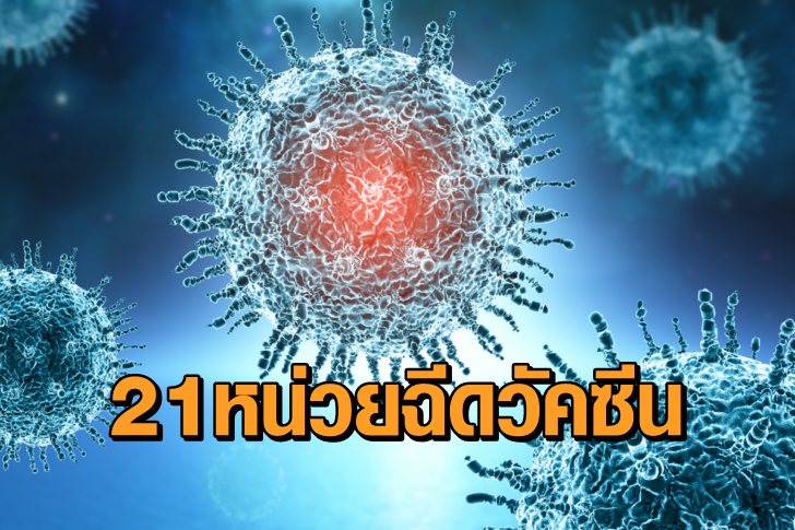 โควิดฟ้าวัคซีน