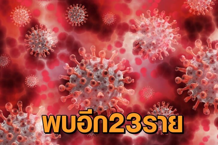 โควิดแดงอยุธยา