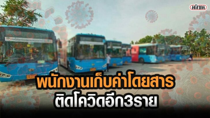โควืด565655
