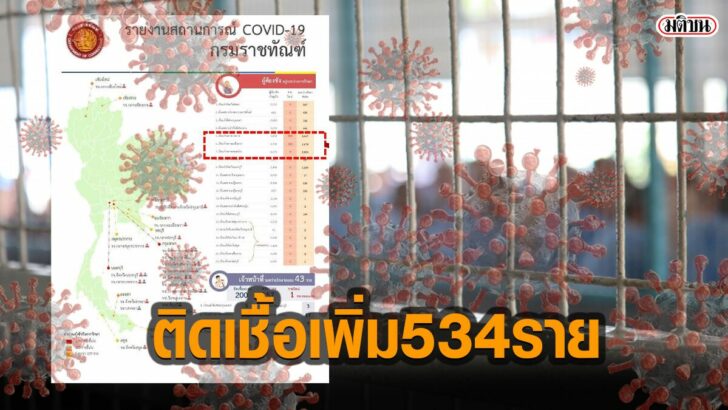โควืด5656red