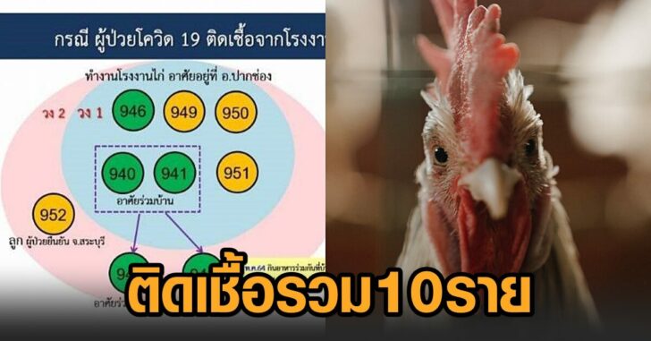 โรงงานแปรรูปเนื้อไก่10