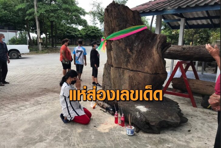 ไม้ตะเคียน