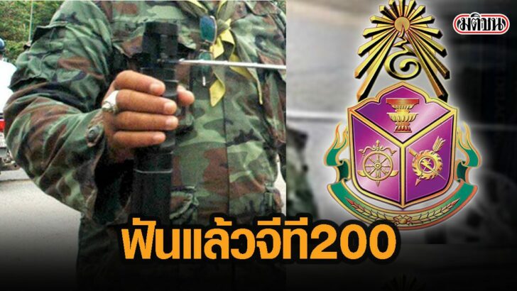 11กดะพืกำ