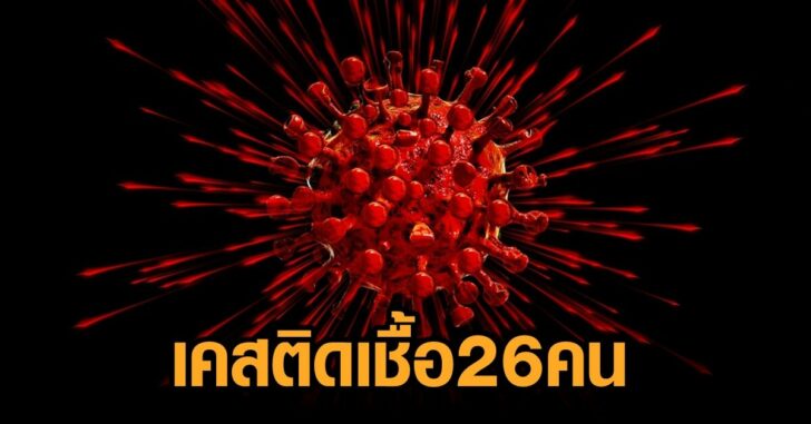 26