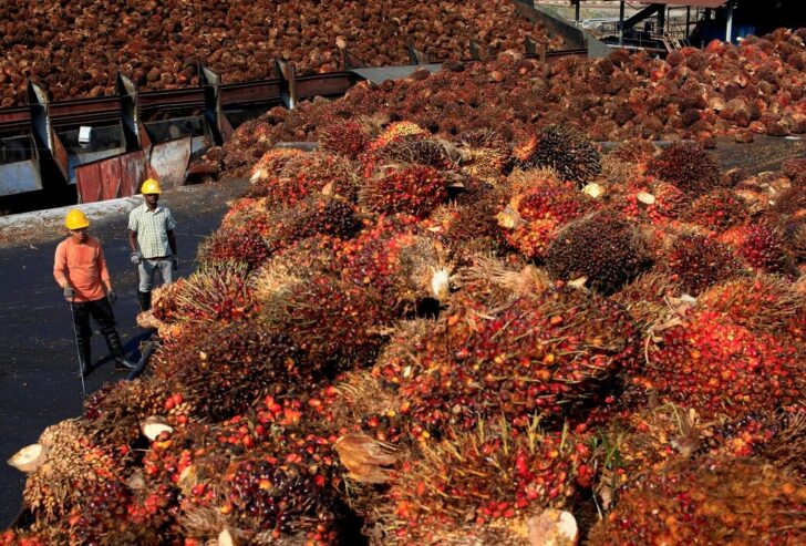 FILE PHOTO: Workers stand near palm oil fruits inside a palm oil factory in Sepang, outside Kuala Lumpur