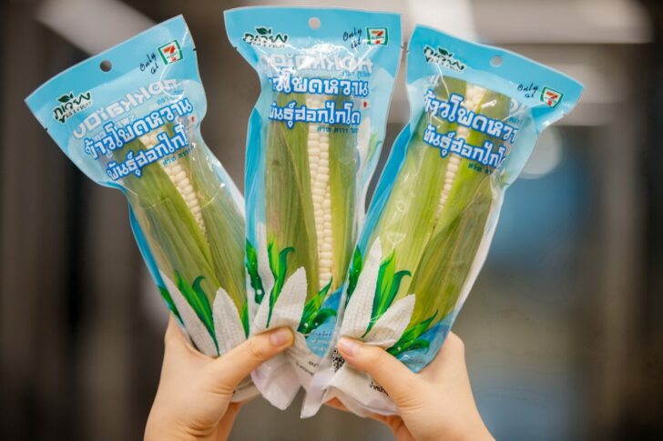 ข้าวโพดหวานพันธุ์ฮอกไกโด_1