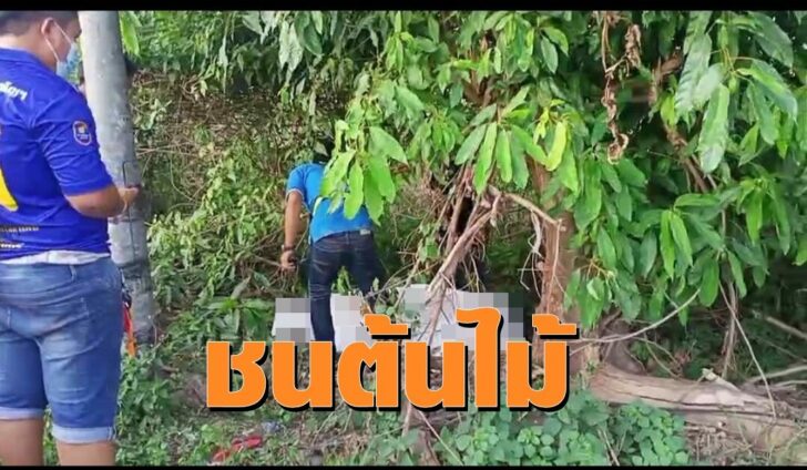 ชน1