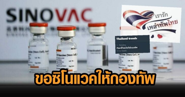 ซิโนแวค-21-1