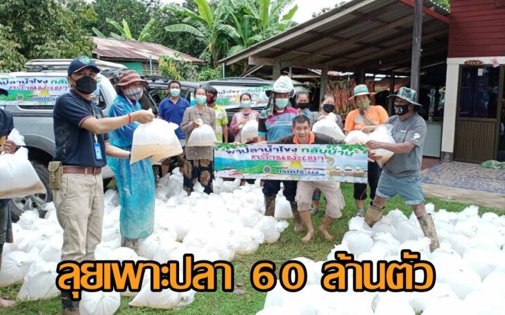 ประมง