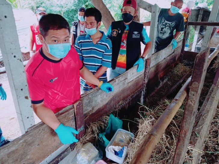 ปากท่อ