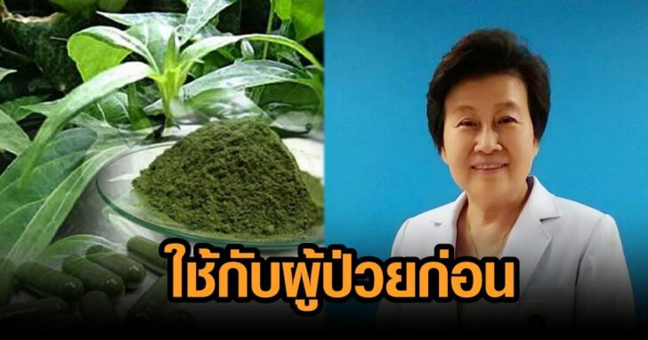 ฟ้าทะลายโจรรร