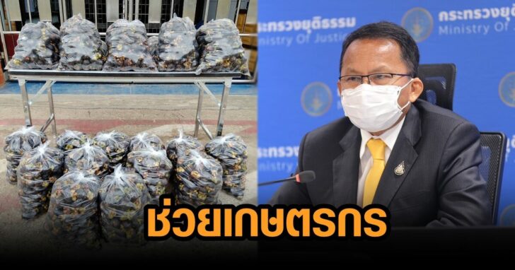 ภาพนำ เกษตรกร