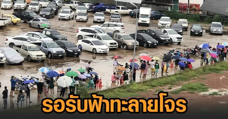 รอรับฟ้าทะลายโจร
