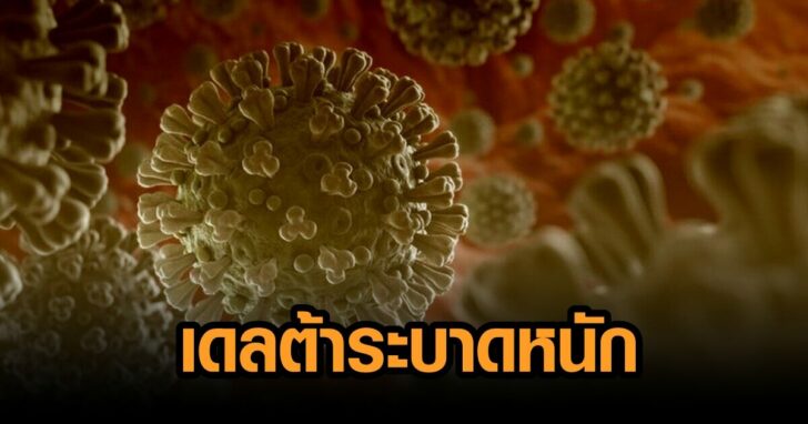 สายพันธุ์เดลต้าา