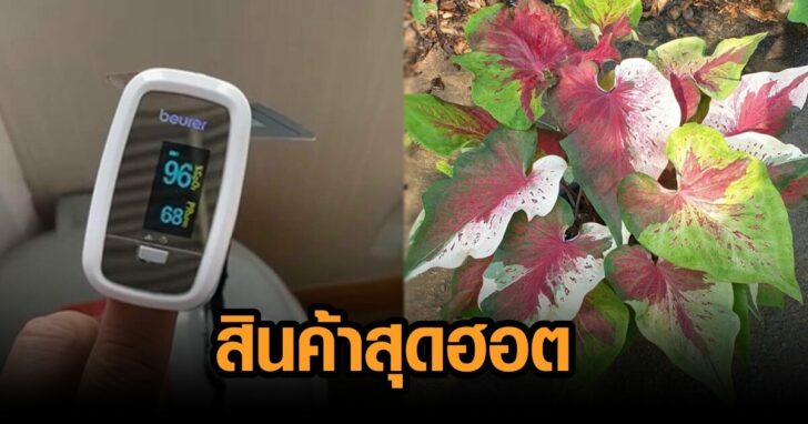 สินค้าฮอต
