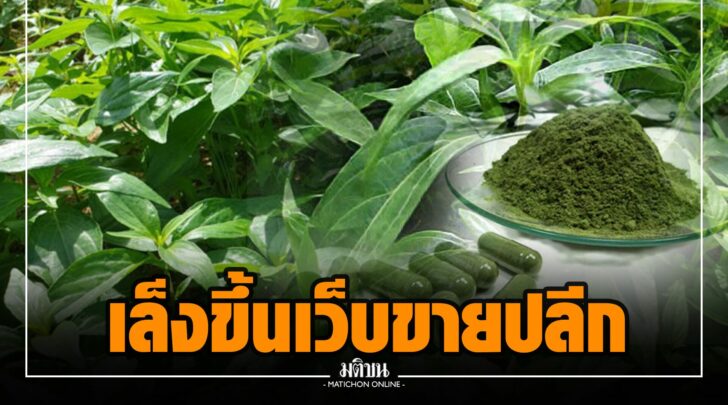 ออ0010