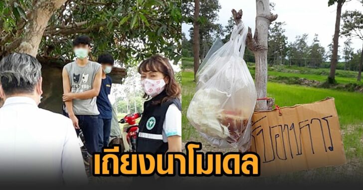 เถียงนาโมเดล