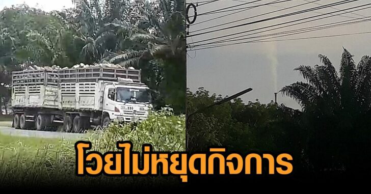 เมืองคอน-ไม่หยุดกิจการ