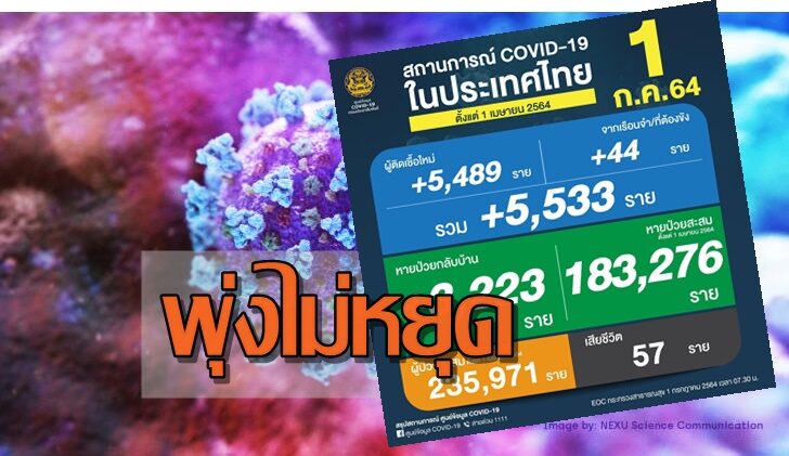 โควิด-กราฟฟิก