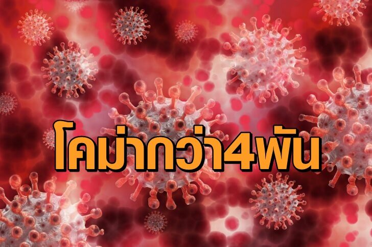 โควิดแดง